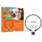 Assisi Loop 2.0 20cm tPEMF Therapy